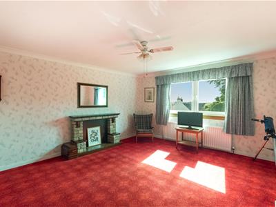 Picture 16
